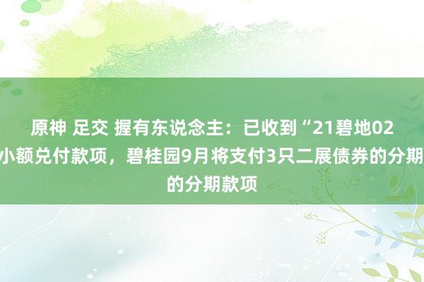 原神 足交 握有东说念主：已收到“21碧地02”的小额兑付款项，碧桂园9月将支付3只二展债券的分期款项