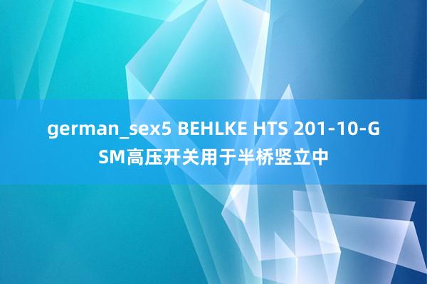 german_sex5 BEHLKE HTS 201-10-GSM高压开关用于半桥竖立中