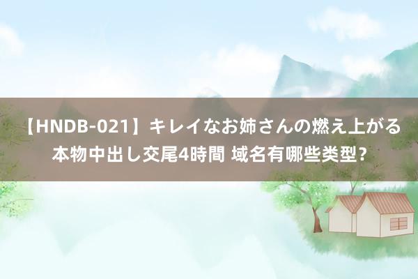 【HNDB-021】キレイなお姉さんの燃え上がる本物中出し交尾4時間 域名有哪些类型？