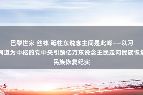 巴黎世家 丝袜 砥柱东说念主间是此峰——以习近平同道为中枢的党中央引颈亿万东说念主民走向民族恢复纪实