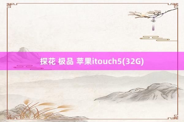 探花 极品 苹果itouch5(32G)