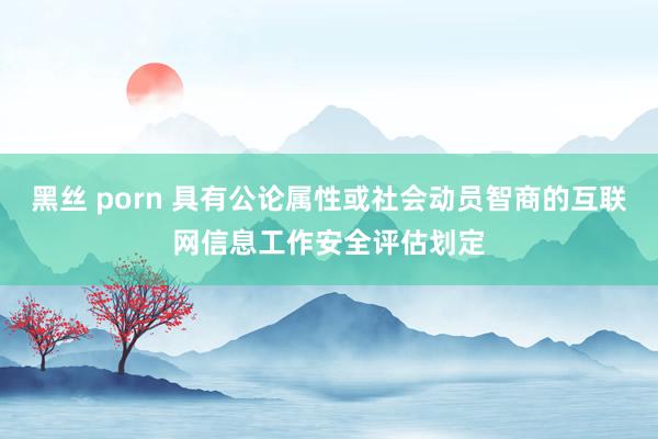 黑丝 porn 具有公论属性或社会动员智商的互联网信息工作安全评估划定