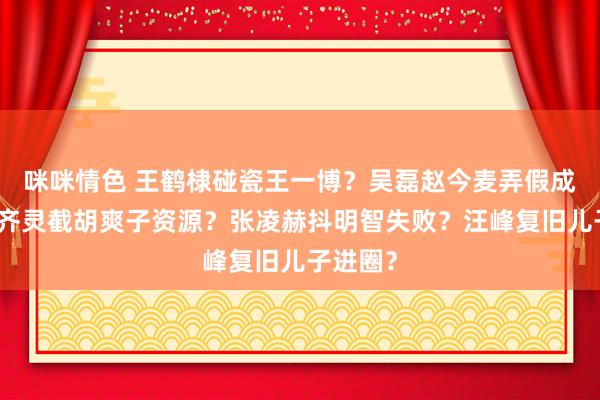 咪咪情色 王鹤棣碰瓷王一博？吴磊赵今麦弄假成真？陈齐灵截胡爽子资源？张凌赫抖明智失败？汪峰复旧儿子进圈？