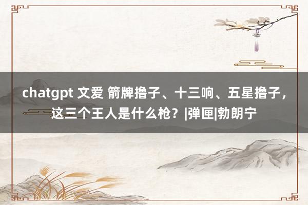 chatgpt 文爱 箭牌撸子、十三响、五星撸子，这三个王人是什么枪？|弹匣|勃朗宁