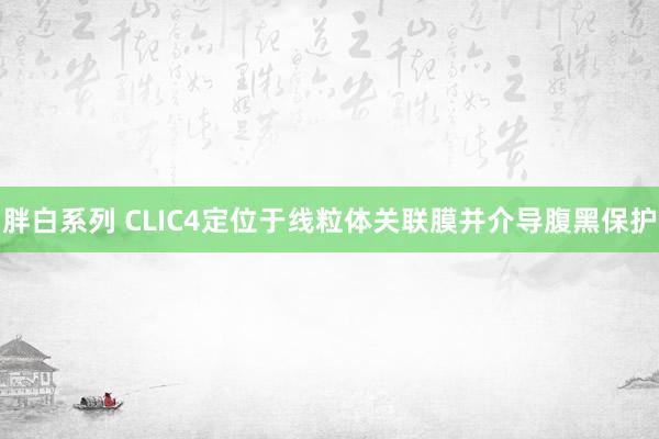 胖白系列 CLIC4定位于线粒体关联膜并介导腹黑保护