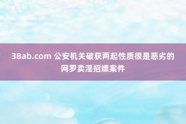 38ab.com 公安机关破获两起性质很是恶劣的网罗卖淫招嫖案件