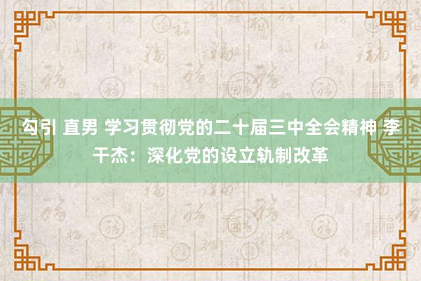 勾引 直男 学习贯彻党的二十届三中全会精神 李干杰：深化党的设立轨制改革