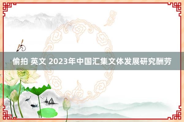 偷拍 英文 2023年中国汇集文体发展研究酬劳