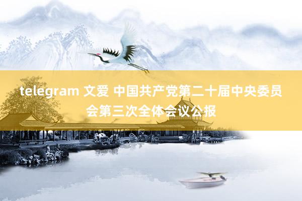 telegram 文爱 中国共产党第二十届中央委员会第三次全体会议公报