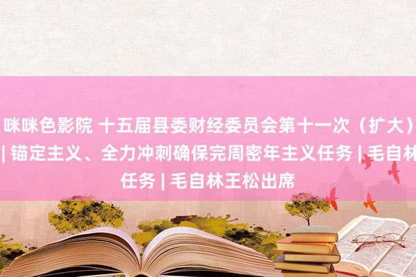 咪咪色影院 十五届县委财经委员会第十一次（扩大）会议召开 | 锚定主义、全力冲刺确保完周密年主义任务 | 毛自林王松出席