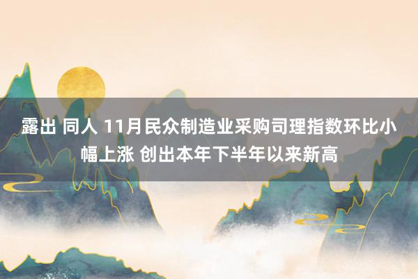 露出 同人 11月民众制造业采购司理指数环比小幅上涨 创出本年下半年以来新高