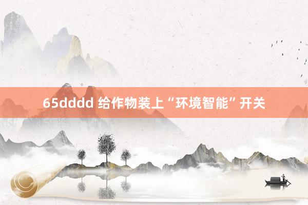 65dddd 给作物装上“环境智能”开关