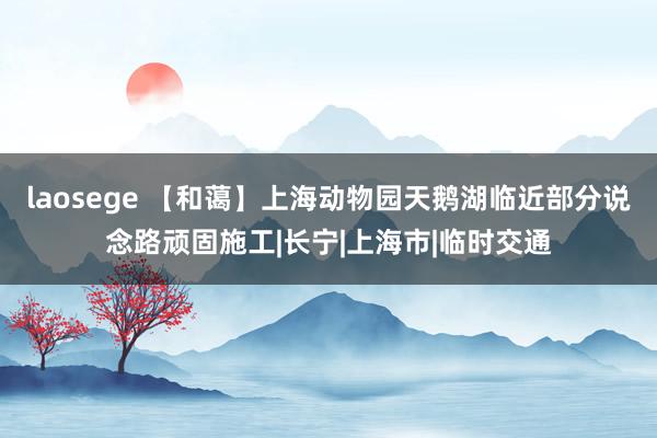 laosege 【和蔼】上海动物园天鹅湖临近部分说念路顽固施工|长宁|上海市|临时交通