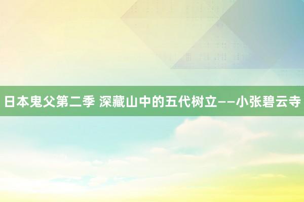 日本鬼父第二季 深藏山中的五代树立——小张碧云寺